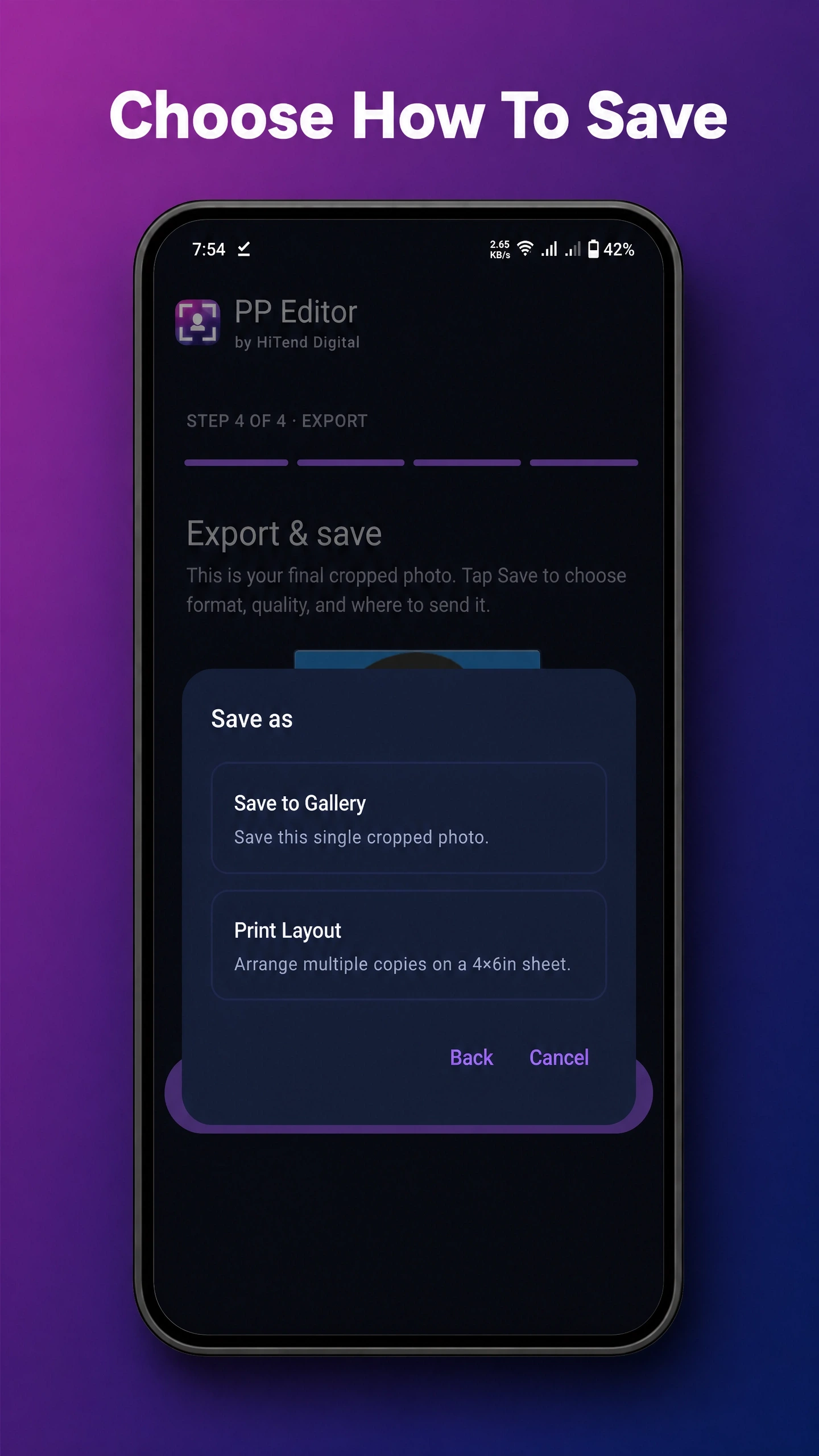 PP Editor country size selector